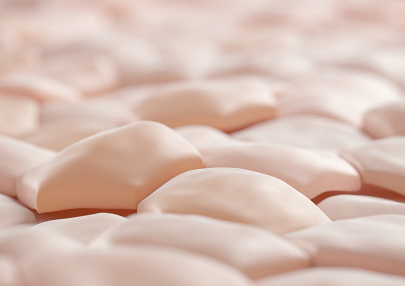 Synthèse d’acide hyaluronique